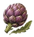 Artichaut violet