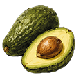 Avocat