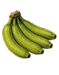 Bananes vertes