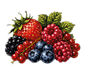 Fruits rouges