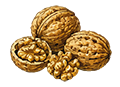 Noix