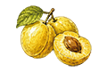 Prune jaune