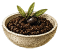 Tapenade