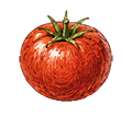 Tomate rouge