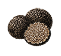 Truffe